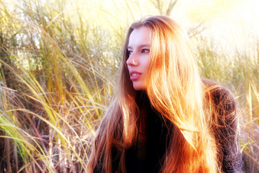 Similar image 1592232