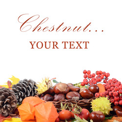 Similar image 1592301