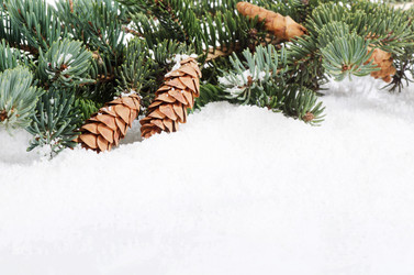 Similar image 1592402