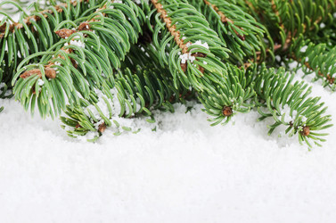 Similar image 1592403