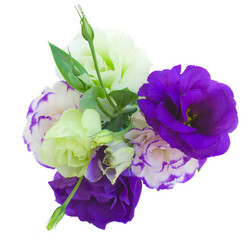 Similar image 1592426