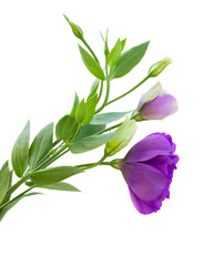 Similar image 1592427