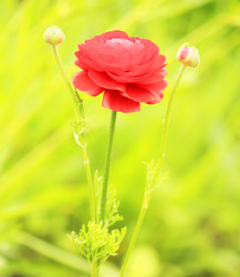 Similar image 1592437