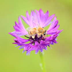 Similar image 1592438