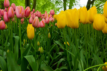 Similar image 1592441