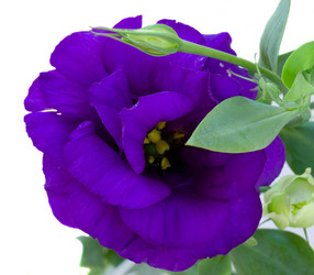 Similar image 1592455