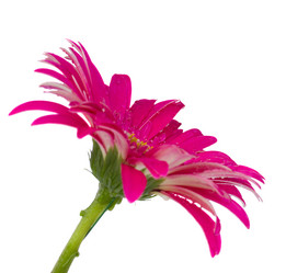 Similar image 1592456