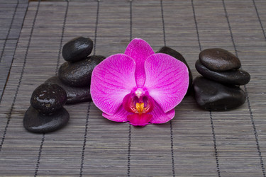 Similar image 1592463