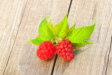 Similar image 1592478