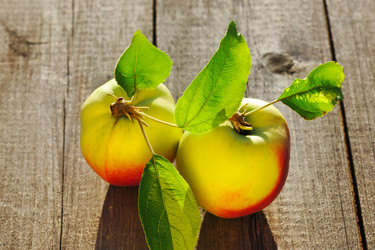 Similar image 1592484