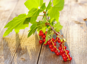 Similar image 1592486