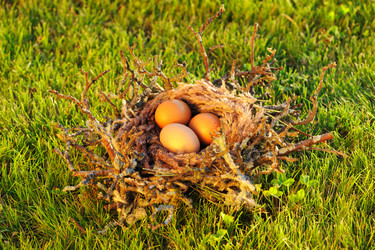 Similar image 1592490