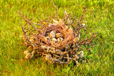 Similar image 1592492