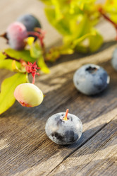 Similar image 1592494