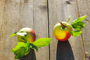 Similar image 1592496