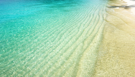 Similar image 1592499