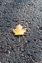 Similar image 1592547