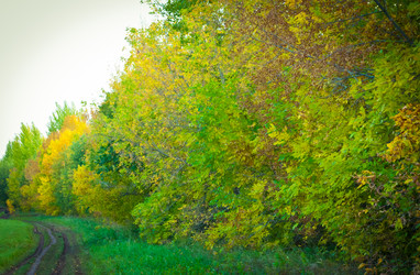 Similar image 1592548