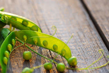 Similar image 1592554