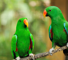 Similar image 1592563