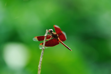 Similar image 1592575