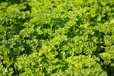 Similar image 1592579