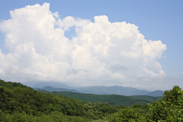 Similar image 1592593