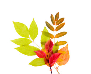 Similar image 1592719