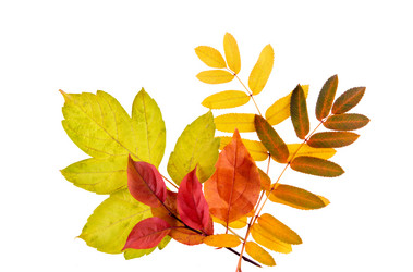 Similar image 1592721