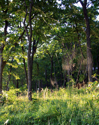 Similar image 1592734