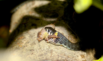 Similar image 1592751