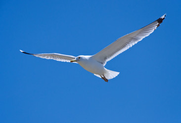 Similar image 1592760