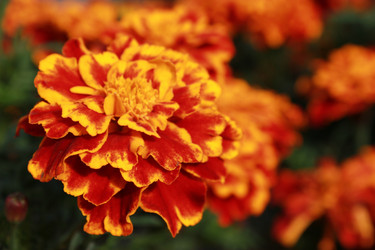 Similar image 1592764