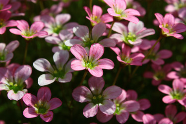 Similar image 1592765