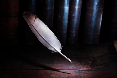 Similar image 1592819