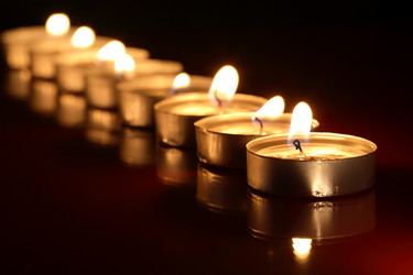 Similar image 1592823