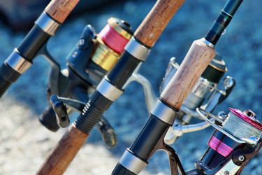 Similar image 1592836