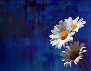 Similar image 1592861