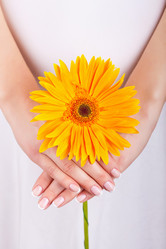 Similar image 1592886