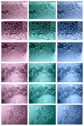 Similar image 1592889