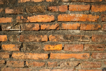 Similar image 1592921