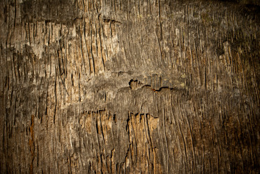 Similar image 1592924