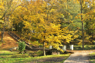 Similar image 1592929