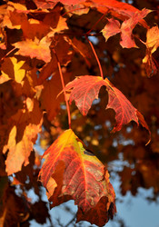 Similar image 1592931