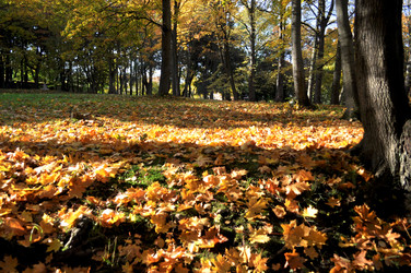 Similar image 1592932