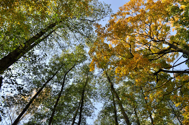 Similar image 1592934