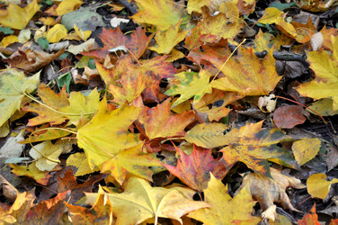 Similar image 1592935