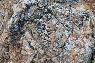 Similar image 1592967