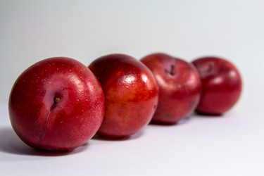 Similar image 1592986