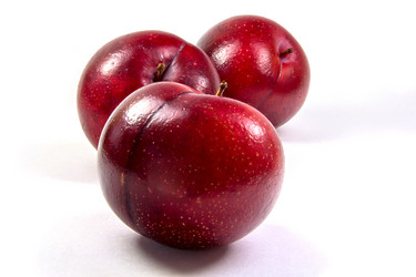 Similar image 1592988